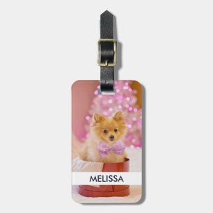 Étiquette À Bagage Chien mignon avec cou rose Photographie de Noël