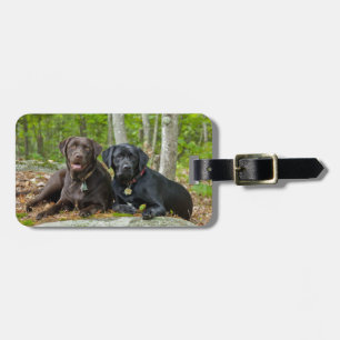 Étiquette À Bagage Chiens Chiens Marionnettes Black Lab Chocolat Labr