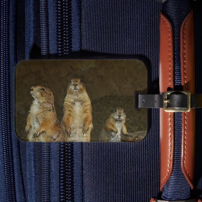 Étiquette À Bagage Chiens de Prairie Adorables (Insitu Rectoal 4)