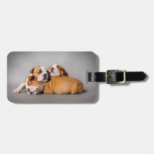 Étiquette À Bagage Chiens de taureaux anglais dormant