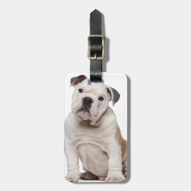Étiquette À Bagage Chiot anglais de bouledogue (2 mois) (Devant Vertical)