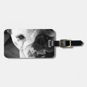 Étiquette À Bagage Chiot anglais noir et blanc de bouledogue
