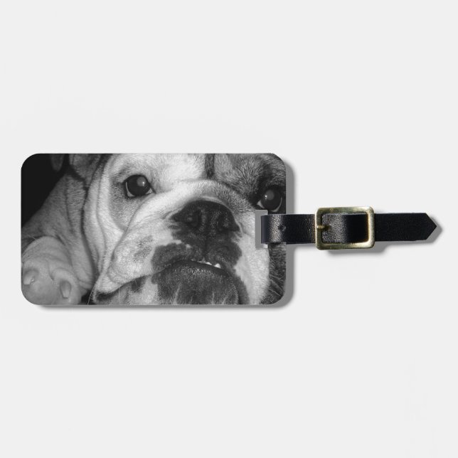 Étiquette À Bagage Chiot anglais noir et blanc de bouledogue (Devant horizontal)