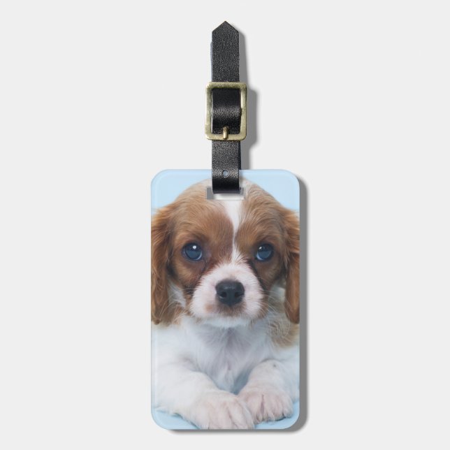 Étiquette À Bagage Chiot cavalier d'épagneul du Roi Charles (Devant Vertical)