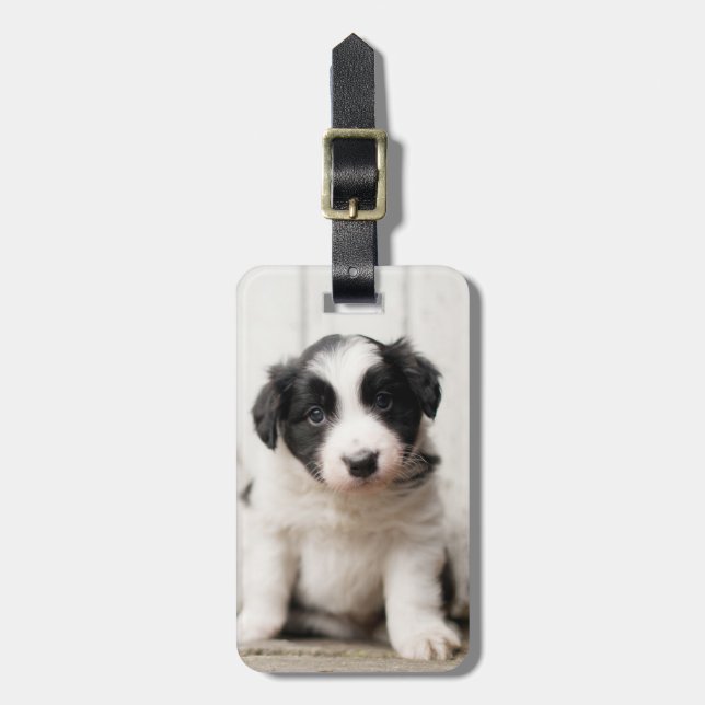 Étiquette À Bagage Chiot de border collie (Devant Vertical)