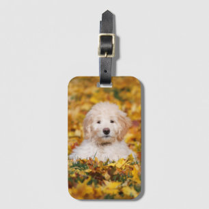 Étiquette À Bagage Chiot De Goldendoodle En Feuilles D'Automne
