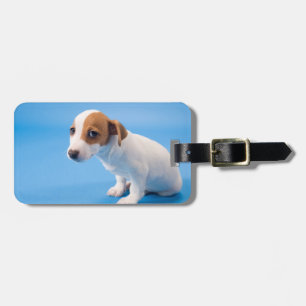 Étiquette À Bagage Chiot de Jack Russell