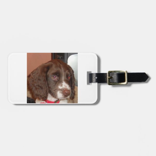 Étiquette À Bagage Chiot de lw d'English_Springer_Spaniel (Devant horizontal)