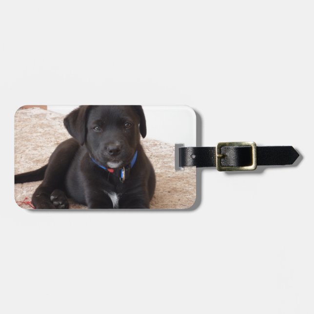 Étiquette À Bagage Chiot de récupération Black Labrador (Devant horizontal)