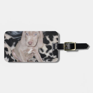 Étiquette À Bagage Chiot de Weimaraner