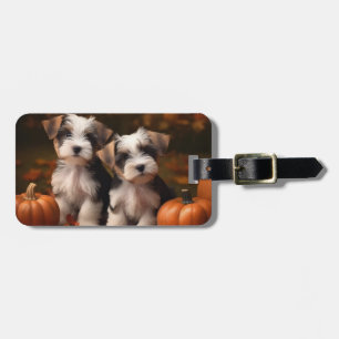Étiquette À Bagage Chiots Biewer Terrier Délice d'Automne Citrouille