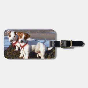 Étiquette À Bagage Chiots de Jack Russell