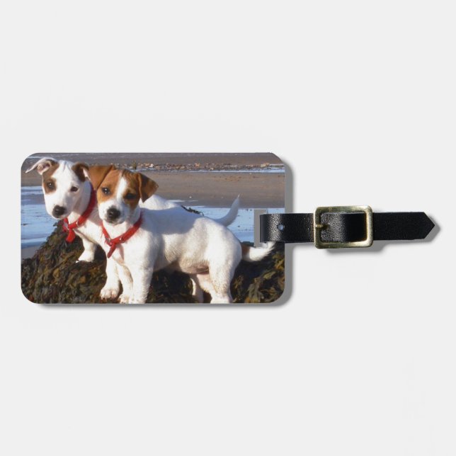 Étiquette À Bagage Chiots de Jack Russell (Devant horizontal)