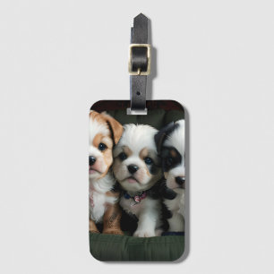 Étiquette À Bagage Chiots super mignons sur le canapé 2