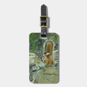 Étiquette À Bagage Chipmunk dans le parc national des Glaciers