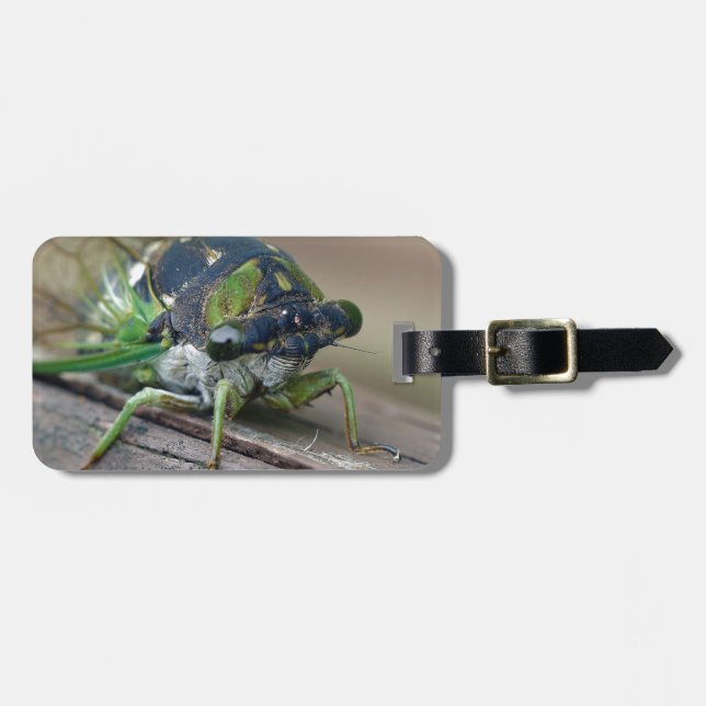 Étiquette À Bagage Cicada (Devant horizontal)