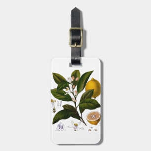 Étiquette À Bagage Citron