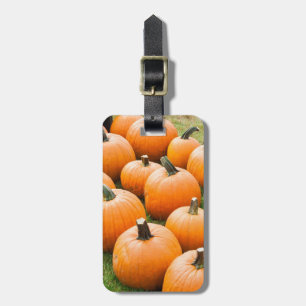 Étiquette À Bagage Citrouilles à vendre au marché d'un agriculteur