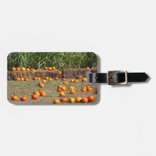 Étiquette À Bagage Citrouilles, maïs et foin Photographie de la récol