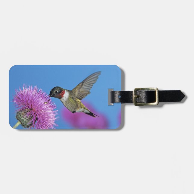 Étiquette À Bagage Colibri à gorge rubis (Devant horizontal)