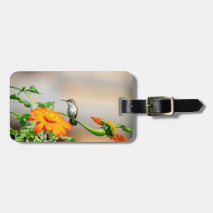 Étiquette À Bagage Colibri sur un plante à fleurs
