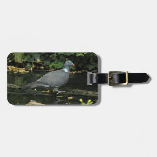 Étiquette À Bagage Columba palumbus