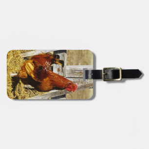 Étiquette À Bagage Coq Rhode Island Red
