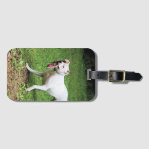Étiquette À Bagage Coque carte de visite de boîte