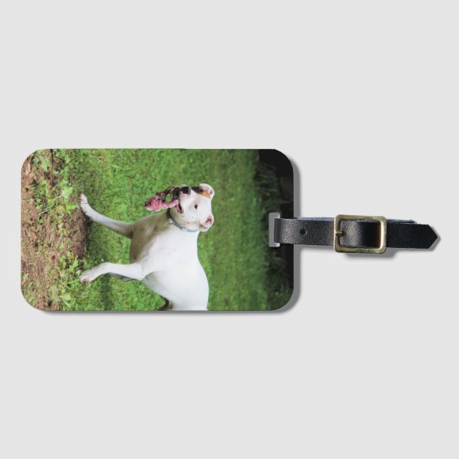 Étiquette À Bagage Coque carte de visite de boîte (Devant Horizontal)