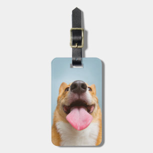 Étiquette À Bagage Corgi très heureux des images   de Getty