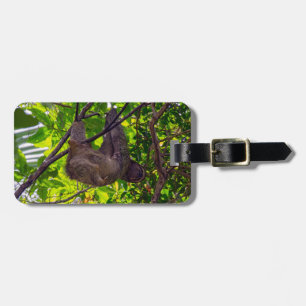 Étiquette À Bagage Costa Rica - Happy Lazy Sloth, Antonio Manuel NP