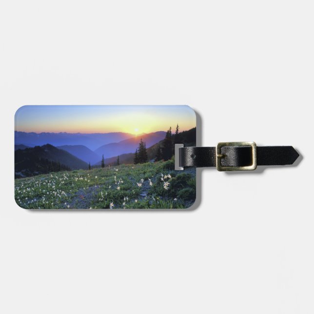 Étiquette À Bagage Coucher de soleil de Point d'obstruction, Pôle oly (Devant horizontal)