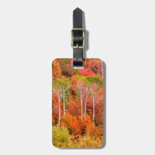Étiquette À Bagage Couleurs d'automne dans les montagnes Rocheuses, W