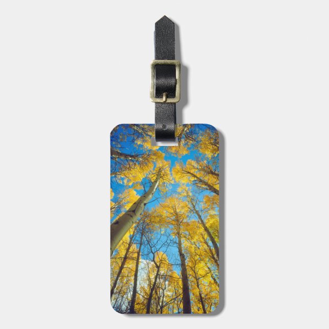 Étiquette À Bagage Couleurs d'automne des arbres d'Aspen 2 (Devant Vertical)