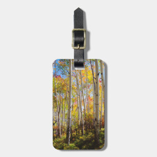 Étiquette À Bagage Couleurs d'automne des arbres d'Aspen 5
