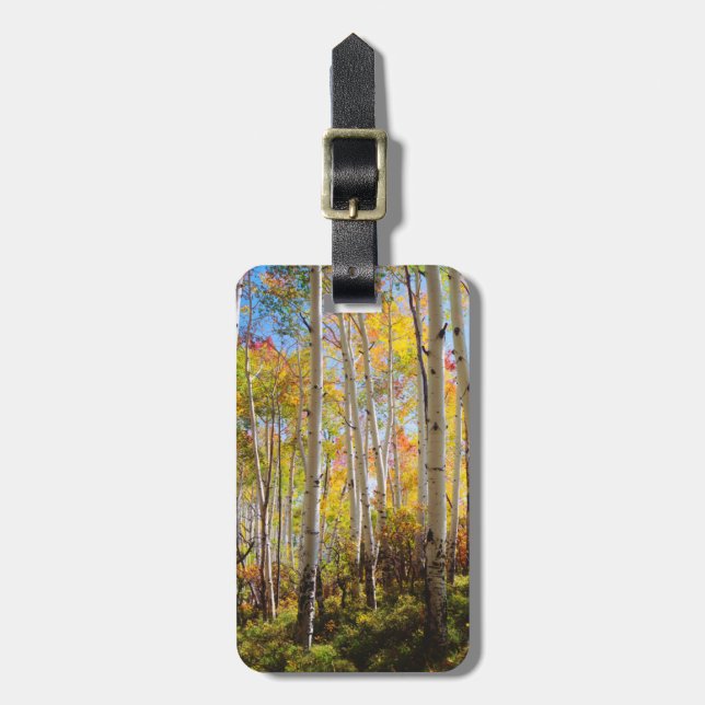 Étiquette À Bagage Couleurs d'automne des arbres d'Aspen 5 (Devant Vertical)