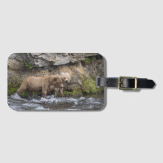 Étiquette À Bagage CUB de 128 Grazer aux automnes de ruisseaux -