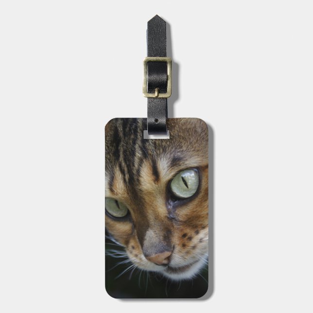 Étiquette À Bagage Curieux chat au Bengale (Devant Vertical)