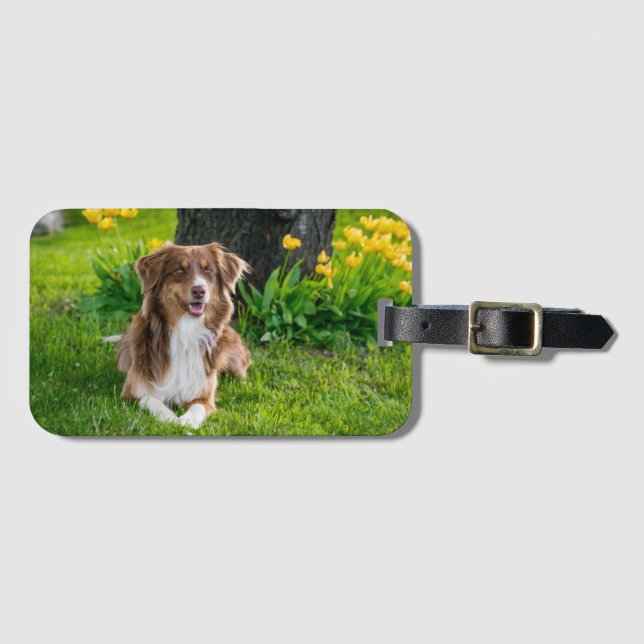 Étiquette À Bagage Custom Pet Photo Keepsake For Dog Lovers (Devant Horizontal)