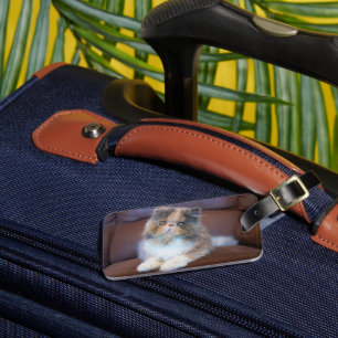 Étiquette À Bagage Cutest Baby Animals   Calico Persian Kitten