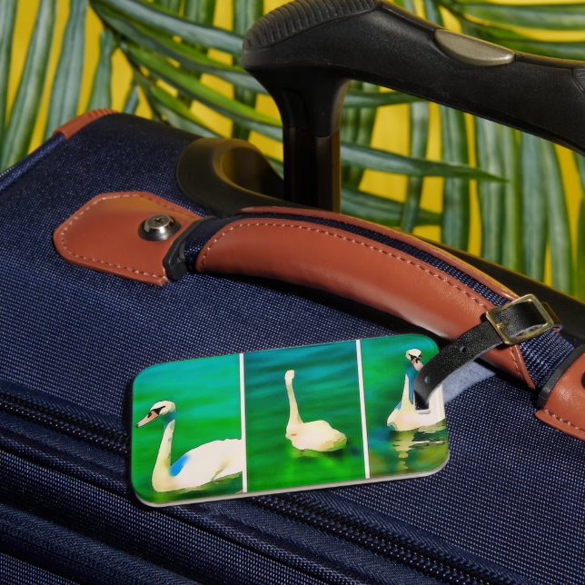 Étiquette À Bagage Cygnes au lac Balaton – triptyque (Insitu Rectoal 3)