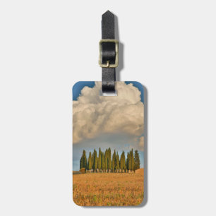 Étiquette À Bagage Cyprès de Toscane