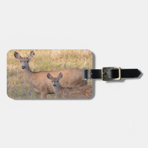 Étiquette À Bagage Daine et faon de cerfs communs de mule