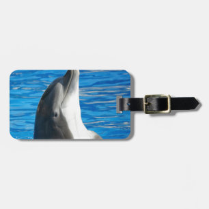 Étiquette À Bagage Dauphin Mignon Plage Paix Amour Fête Destinée