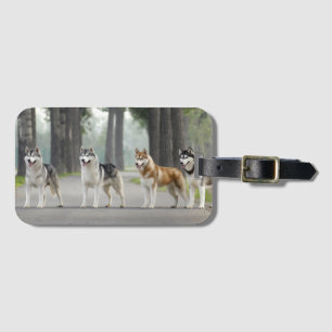 Étiquette À Bagage De beaux chiens Husky sur un sentier naturel
