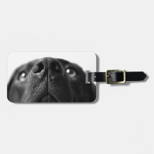 Étiquette À Bagage De Labrador de nez fin noire
