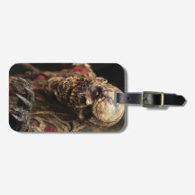 Démon crâne Horreur