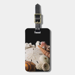 Étiquette À Bagage Détail de coquillages du monde entier