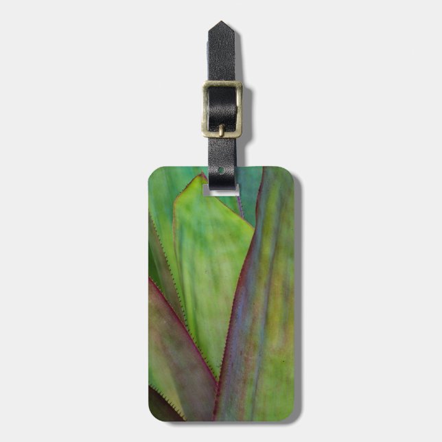 Étiquette À Bagage Détail de la plante d'Agave (Devant Vertical)