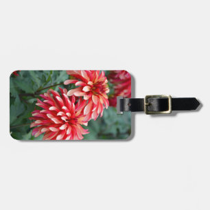 Étiquette À Bagage Deux fleurs dahlia roses